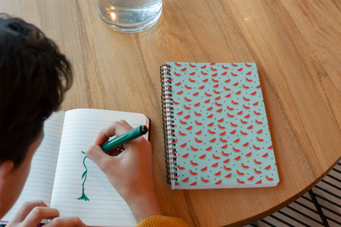 Watermelon Spiral notebook