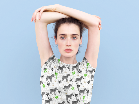 Zebra 2 Women's T-shirt